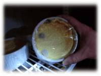 Moldy Crème Brule. The employee was putting sugar on top and caramelizing to hide the mold.