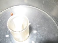 Cockroach in a mixer bowl. The employee just dumped it out and continued using the bowl to make sauce.